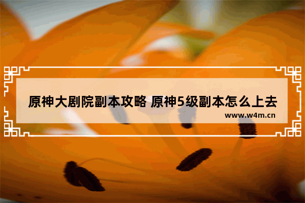 原神大剧院副本攻略 原神5级副本怎么上去