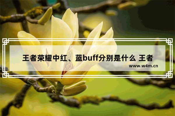 王者荣耀中红、蓝buff分别是什么 王者荣耀蓝buff和红buff