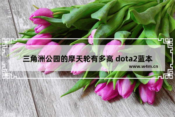 三角洲公园的摩天轮有多高 dota2蓝本转盘