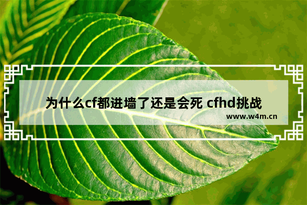 为什么cf都进墙了还是会死 cfhd挑战模式小怪卡墙里怎么办