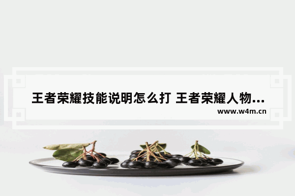 王者荣耀技能说明怎么打 王者荣耀人物框说明