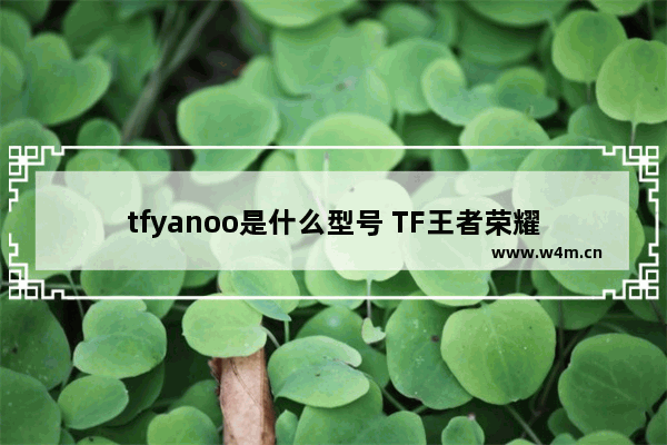 tfyanoo是什么型号 TF王者荣耀