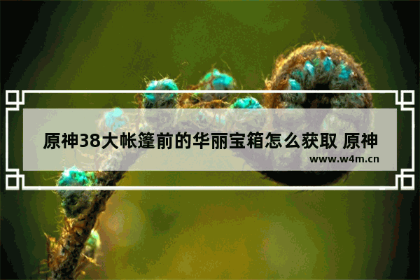 原神38大帐篷前的华丽宝箱怎么获取 原神鸡蛋收集攻略