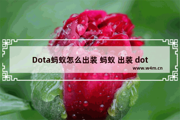 Dota蚂蚁怎么出装 蚂蚁 出装 dota2