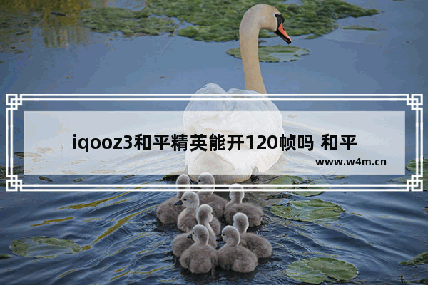 iqooz3和平精英能开120帧吗 和平精英4400