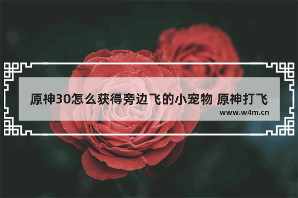 原神30怎么获得旁边飞的小宠物 原神打飞龙攻略