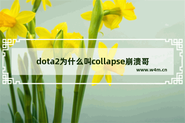 dota2为什么叫collapse崩溃哥 dota2搞笑的名字