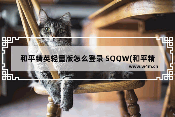 和平精英轻量版怎么登录 SQQW(和平精英)