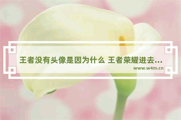 王者没有头像是因为什么 王者荣耀进去没有头像怎么设置