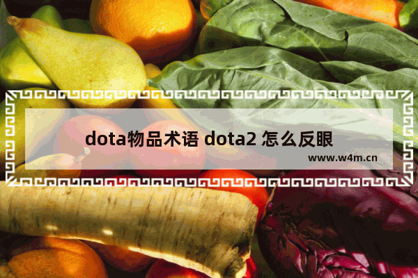 dota物品术语 dota2 怎么反眼