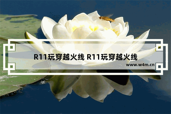 R11玩穿越火线 R11玩穿越火线