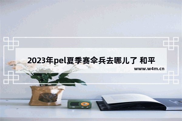 2023年pel夏季赛伞兵去哪儿了 和平精英 nv