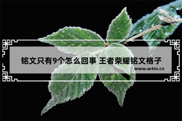 铭文只有9个怎么回事 王者荣耀铭文格子