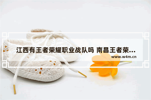 江西有王者荣耀职业战队吗 南昌王者荣耀比赛