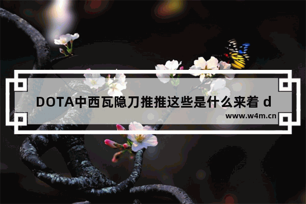 DOTA中西瓦隐刀推推这些是什么来着 dota2推推怎么用