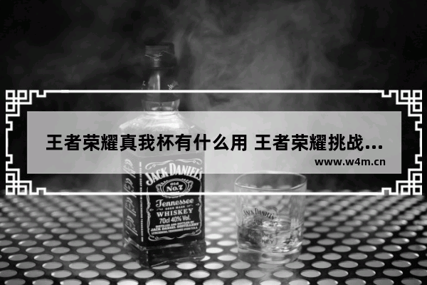 王者荣耀真我杯有什么用 王者荣耀挑战者杯2023有fly吗