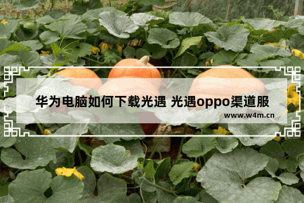 华为电脑如何下载光遇 光遇oppo渠道服怎么转ios