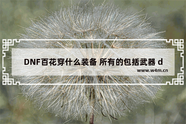 DNF百花穿什么装备 所有的包括武器 dnf女气功巨龙罩子兵附魔