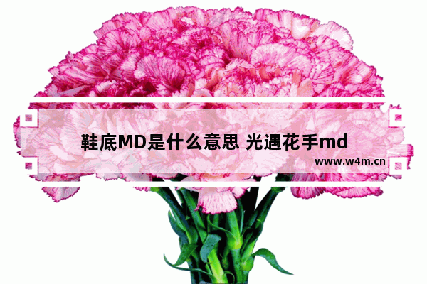 鞋底MD是什么意思 光遇花手md