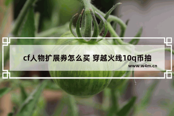 cf人物扩展券怎么买 穿越火线10q币抽奖