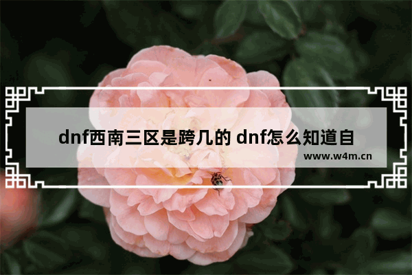 dnf西南三区是跨几的 dnf怎么知道自己是跨几