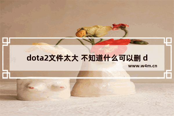 dota2文件太大 不知道什么可以删 dota2文件太大了 有那些文件是可以删除的 不影响游戏运行的