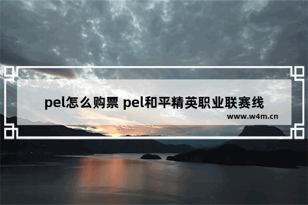 pel怎么购票 pel和平精英职业联赛线下怎么买票