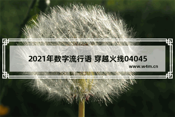 2021年数字流行语 穿越火线040456