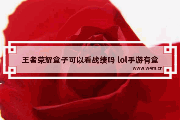 王者荣耀盒子可以看战绩吗 lol手游有盒子可以查战绩的吗