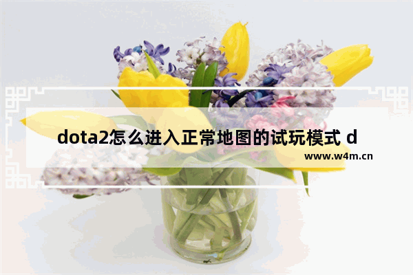 dota2怎么进入正常地图的试玩模式 dota2如何测试模式