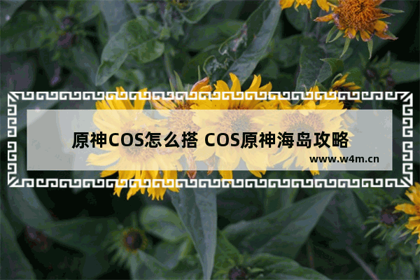 原神COS怎么搭 COS原神海岛攻略