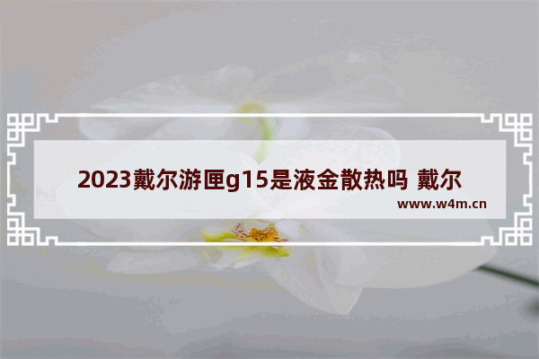 2023戴尔游匣g15是液金散热吗 戴尔游匣 dota2