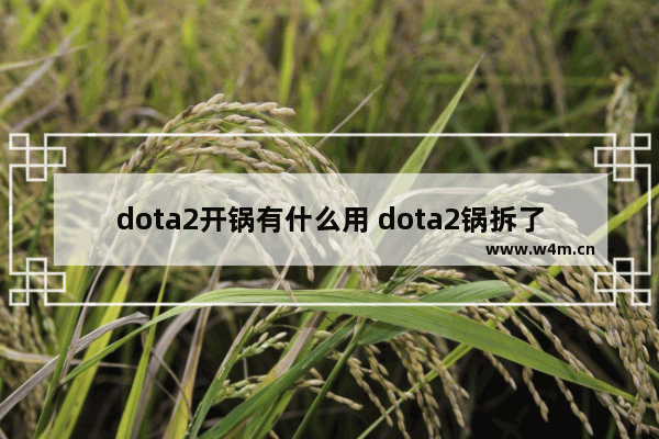 dota2开锅有什么用 dota2锅拆了