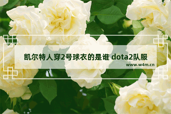 凯尔特人穿2号球衣的是谁 dota2队服