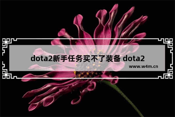 dota2新手任务买不了装备 dota2物品无法购买