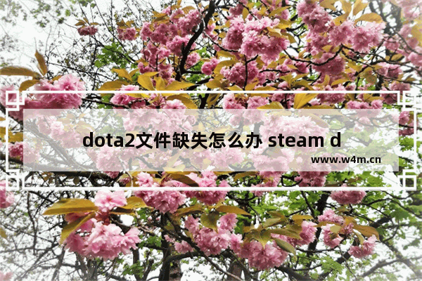 dota2文件缺失怎么办 steam dota2 搜索不到