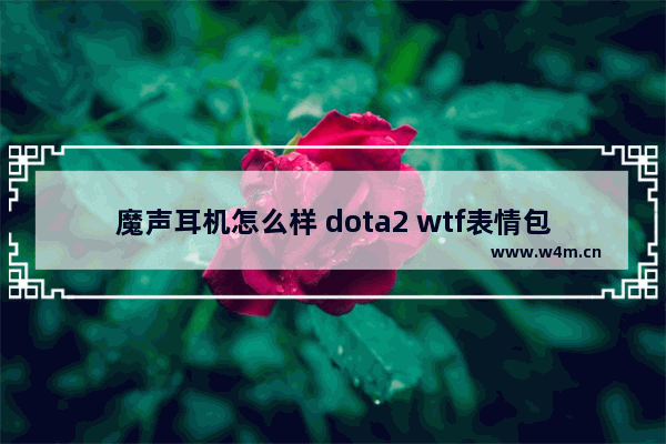 魔声耳机怎么样 dota2 wtf表情包