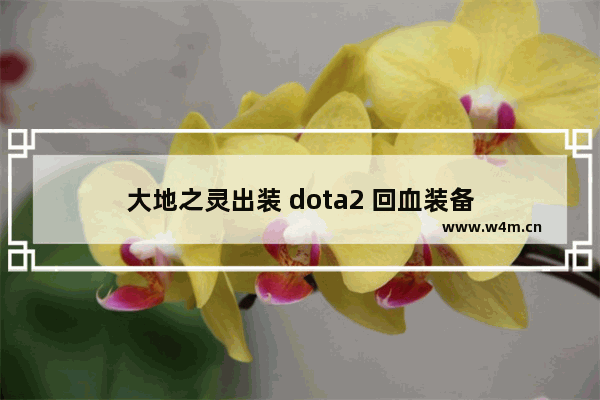 大地之灵出装 dota2 回血装备