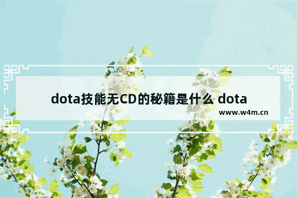 dota技能无CD的秘籍是什么 dota2里有没有减CD的装备啊