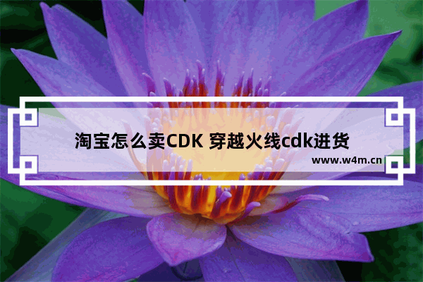 淘宝怎么卖CDK 穿越火线cdk进货