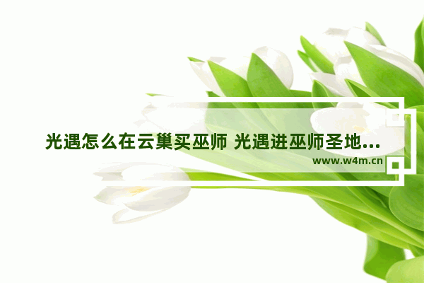 光遇怎么在云巢买巫师 光遇进巫师圣地怎么进