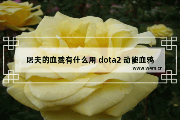 屠夫的血戮有什么用 dota2 动能血鸦