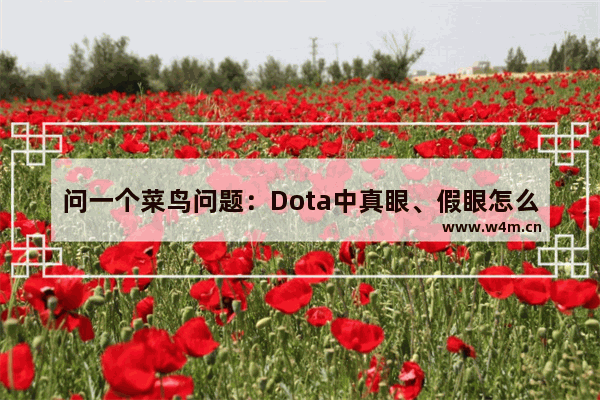 问一个菜鸟问题：Dota中真眼、假眼怎么用 dota2酱油是什么