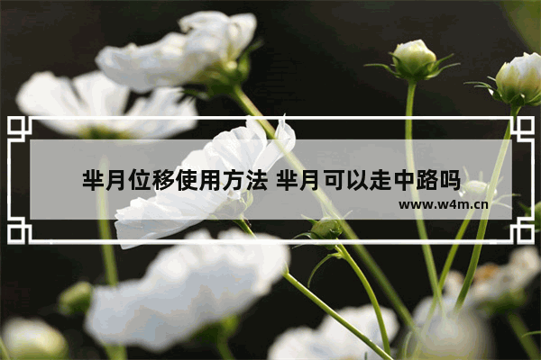 芈月位移使用方法 芈月可以走中路吗