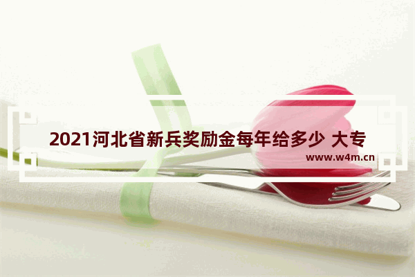 2021河北省新兵奖励金每年给多少 大专其间去当义务兵有什么好处