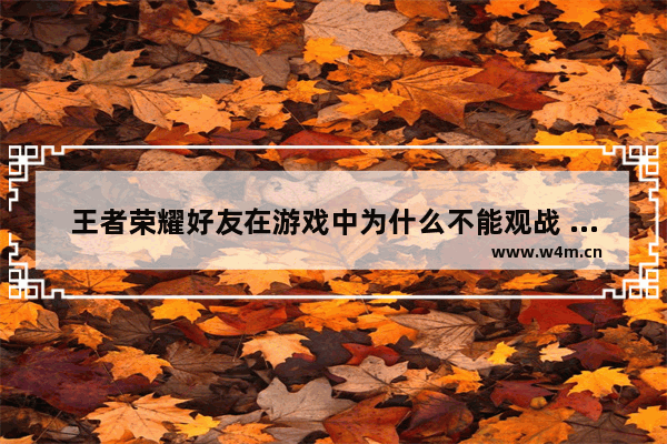 王者荣耀好友在游戏中为什么不能观战 新华社批王者荣耀