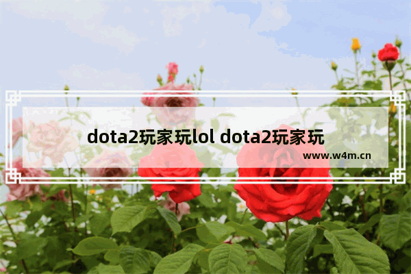 dota2玩家玩lol dota2玩家玩lol