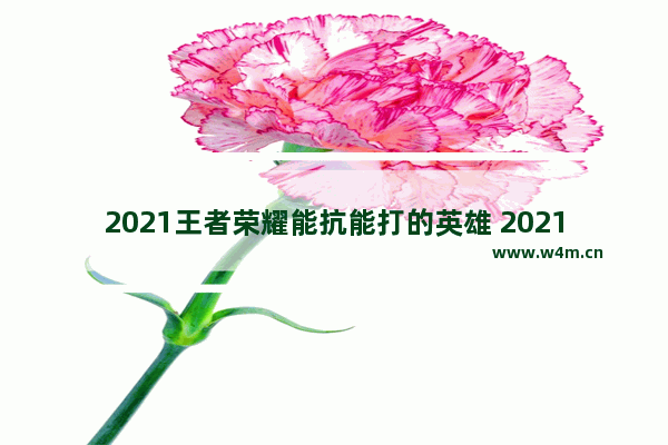 2021王者荣耀能抗能打的英雄 2021王者荣耀能抗能打能吸血的铭文