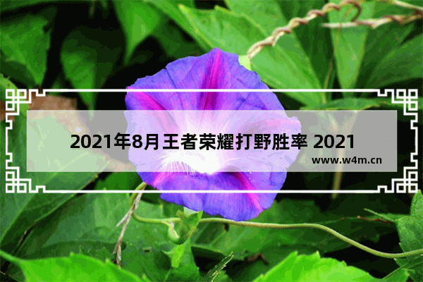 2021年8月王者荣耀打野胜率 2021年8月王者荣耀体验服抢号时间