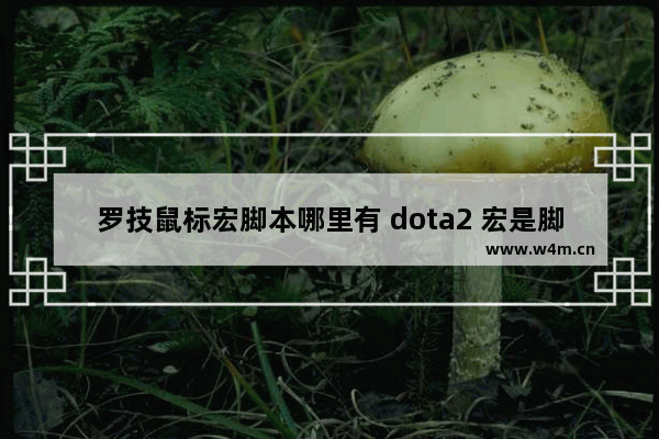 罗技鼠标宏脚本哪里有 dota2 宏是脚本